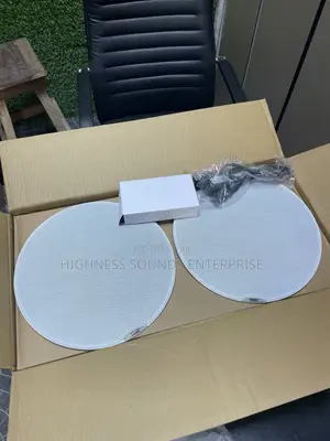 Promic 100W 2-in-1 Bluetooth Ceiling Speaker
