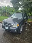 Ford Escape 2009 Gray - 1