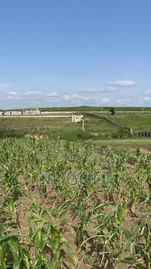 Filin 10,000 sqm na Gauraye don Siyarwa a Kurudu