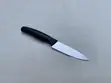 DORCO Mychef 4 Inch Paring Knife - 2