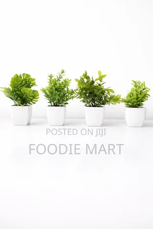 Mini Flower Pot - Brand New
