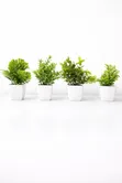 Mini Flower Pot - Brand New - 1