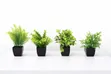 Mini Flower Pot - Brand New - 2