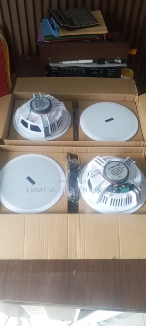 4-in-1 Asalin Ceiling Pop Speaker