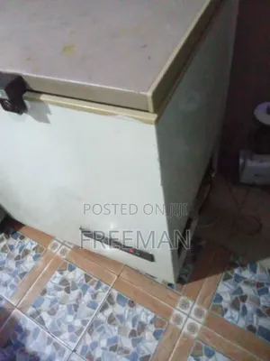 Philips Freezer 196L - Sayarwa Mai Gaggawa