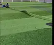 Outdoor Artificial Grass - Premium Quality - 1
