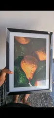 Art Frames - Glass & Acrylic Options - 2