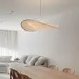 Silk Curved Diffuser LED Pendant Light - 2