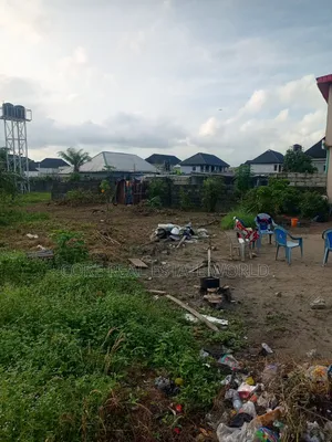 Filin Kasa Mai Bushewa da Takardar Mallaka a Shapati