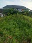 Filin Kasa Mai Bushewa da Takardar Mallaka a Shapati - 2