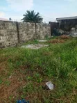Filin Kasa Mai Bushewa da Takardar Mallaka a Shapati - 3