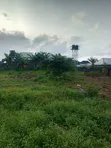 Filin Kasa Mai Bushewa da Takardar Mallaka a Shapati - 4
