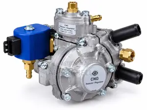 CNG Reducer / Regulator for Sale
