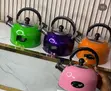 3L Whistling Kettle - Stainless Steel - 1