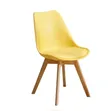 Restaurant Chairs - Plastic with Leather and Beech Wood - 3