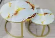 Twin Glass Table - 2
