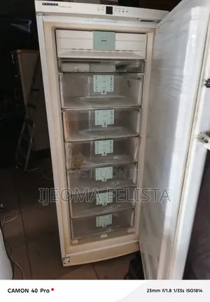 Liebherr Upright Freezer