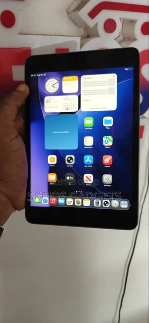 Apple iPad mini 5 (2019) 256GB Grey