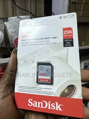 SanDisk 256GB Camera Memory Card