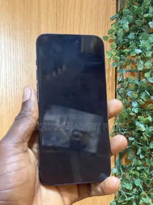 Apple iPhone 15 Pro Max 256GB Baki