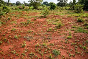 10 Plots of Land for Sale in Igwuruta Estate