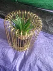 Decorative Cup Table Flower - 1
