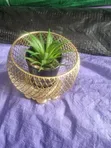 Decorative Cup Table Flower - 3