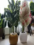 Artificial Plants & Flowers for Home Decor - 2