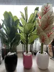 Artificial Plants & Flowers for Home Decor - 3
