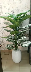 Home Interiors Zakarun Furen da Vase - 2