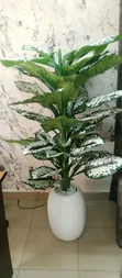 Home Interiors Zakarun Furen da Vase - 3