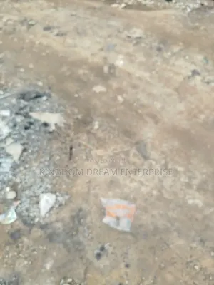 Filin 1,800sqm a Asokoro Main tare da C of O