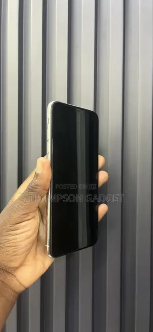 Apple iPhone XS Max 64GB Silver (Amfani)