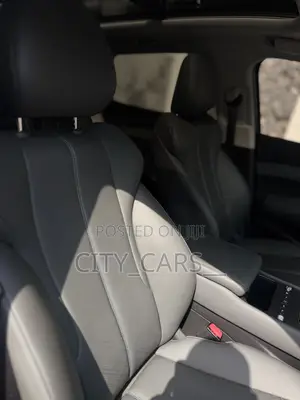 BYD Yuan Plus 2025 Sabo, Launi Grey