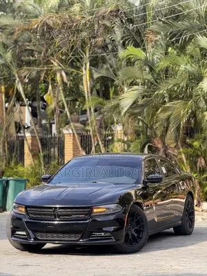 Dodge Charger 2017 Baki