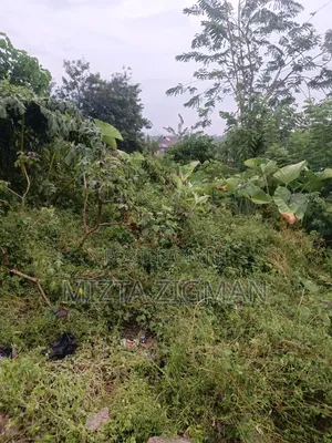 Filin Zama Don Siyawa - Akure