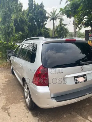 Peugeot 307 2007 Silver