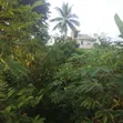 2 Plots of Land for Sale on IBB Avenue, Uyo - 4