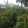 2 Plots of Land for Sale on IBB Avenue, Uyo - 5