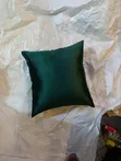 Petite Cutie Throw Pillows - Brand New - 2