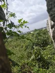 Family Deed Land for Sale - Imota, Ikorodu - 3
