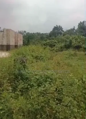 Filin 100x50ft Busasshe Don Siyarwa a Nigercat, Ekpan Warri