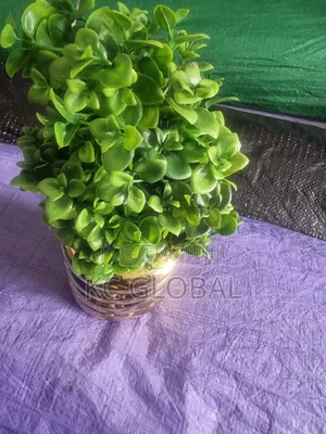 Small Parable Flower Cup