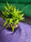 Small Parable Flower Cup - 3