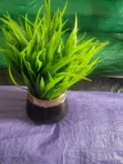 Small Parable Flower Cup - 5