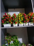 Kyakkyawar Kofin Furen Fuska - Gida Interiors - 2