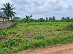 Land for Sale at Afam, Opposite NEPA Gas Plant