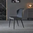 Sturdy Cushion Dining Chair - Metal Frame - 2