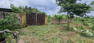 Filin Zama a Harmony Estate, Enugu