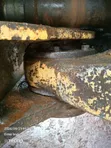 Caterpillar 950C Payloader - 2